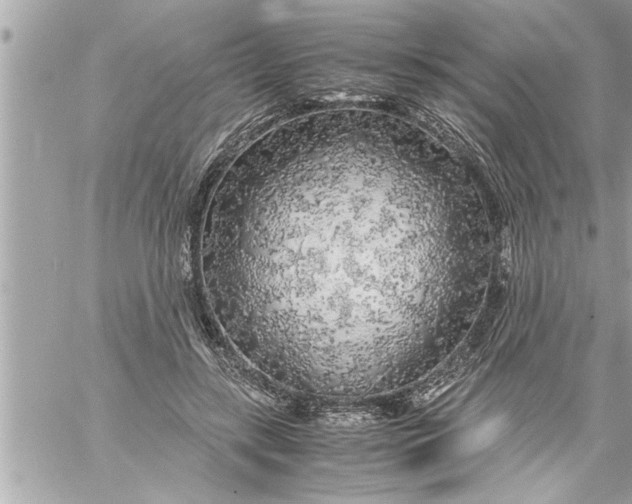 X0000059850547200511111814