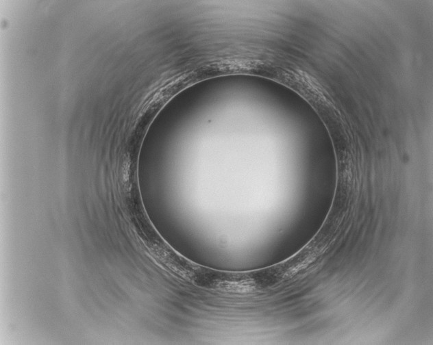 X0000059850548200511111814