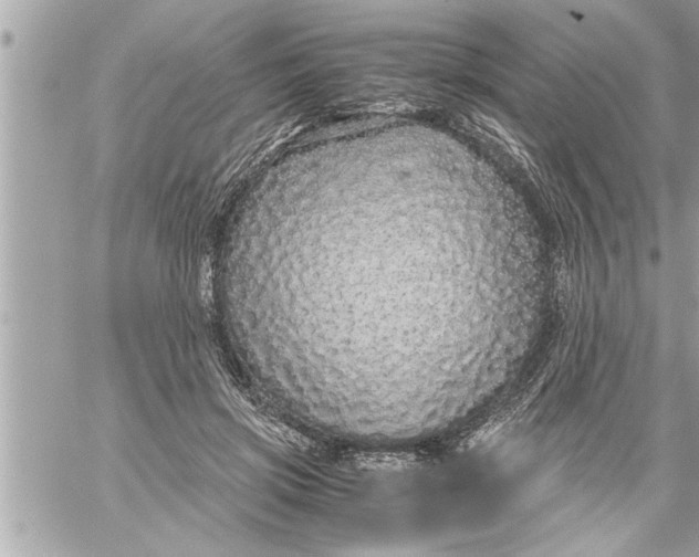 X0000059850549200511111814