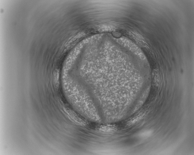 X0000059850550200511111814