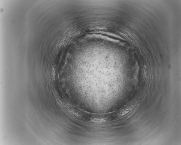 X0000059850551200511111814