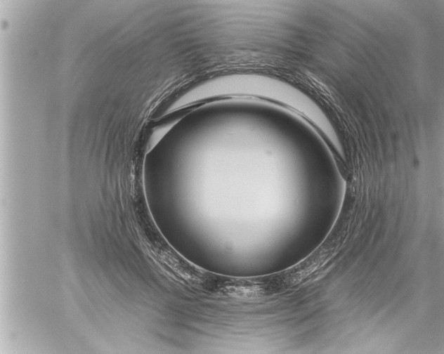 X0000059850552200511111814