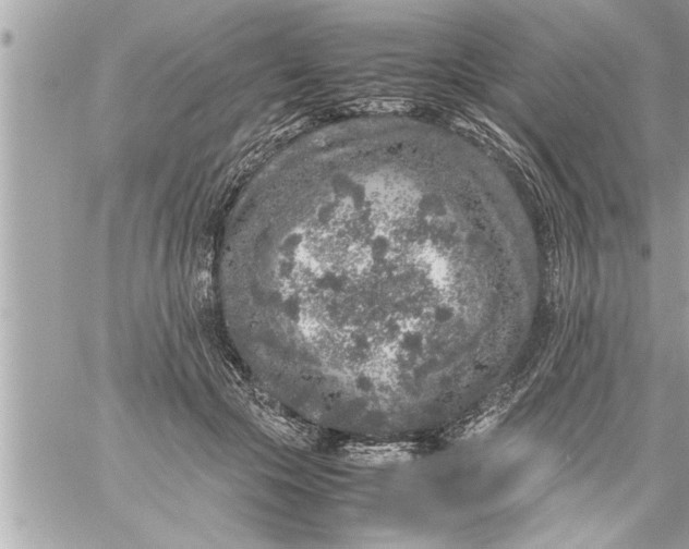 X0000059850553200511111814