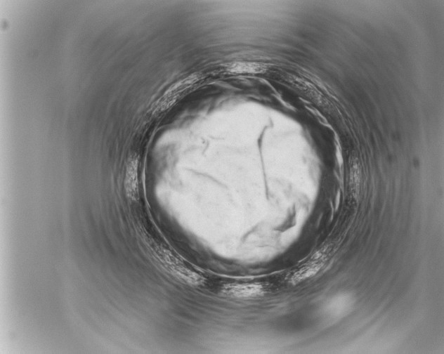 X0000059850554200511111814