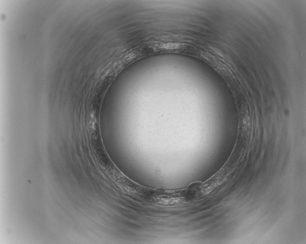 X0000059850555200511111814