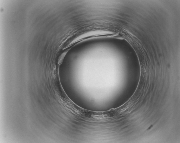 X0000059850556200511111814