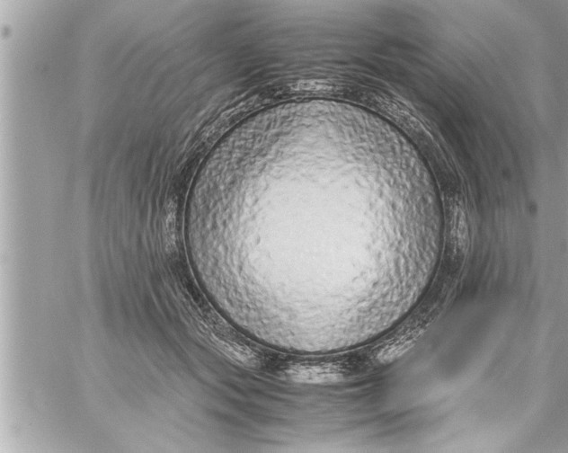 X0000059850557200511111814