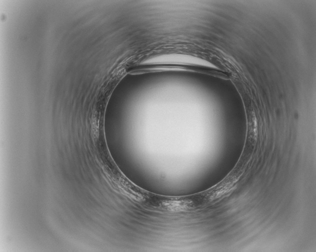 X0000059850558200511111814