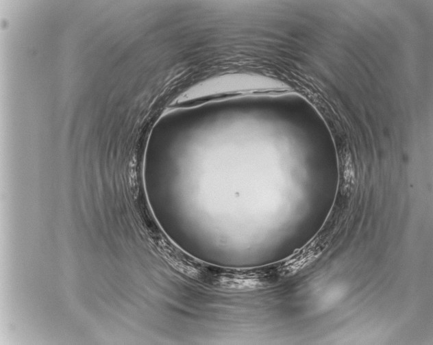 X0000059850559200511111814