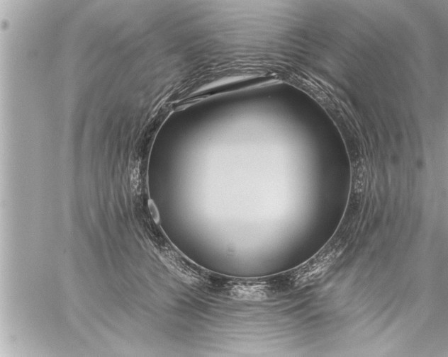 X0000059850560200511111814