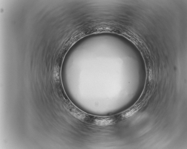 X0000059850561200511111814