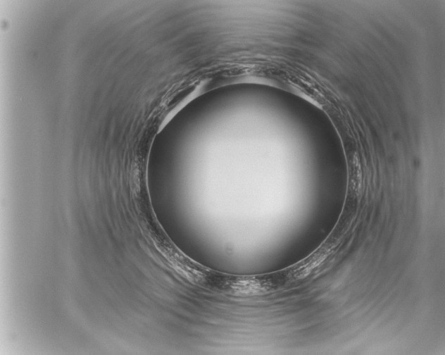 X0000059850562200511111814