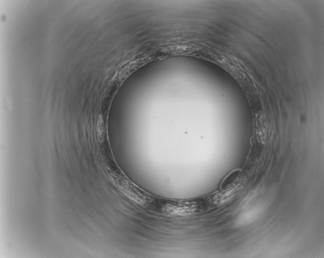 X0000059850563200511111814