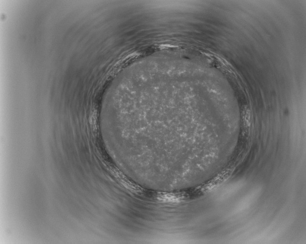 X0000059850565200511111814