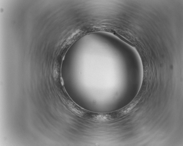 X0000059850566200511111814