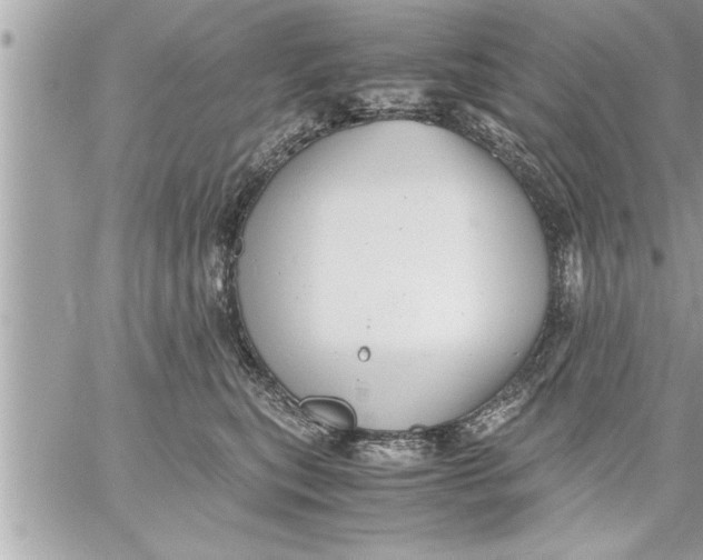 X0000059850567200511111814