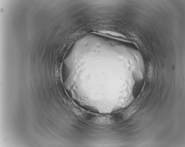 X0000059850569200511111814