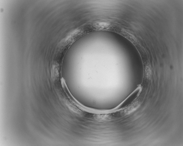 X0000059850570200511111814