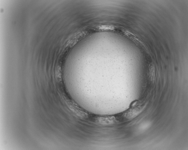 X0000059850571200511111814