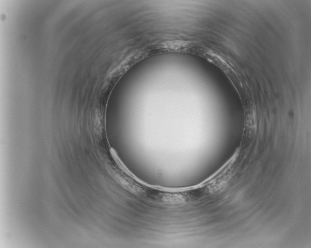 X0000059850572200511111814