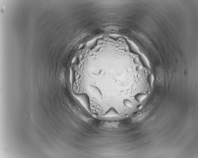 X0000059850573200511111814