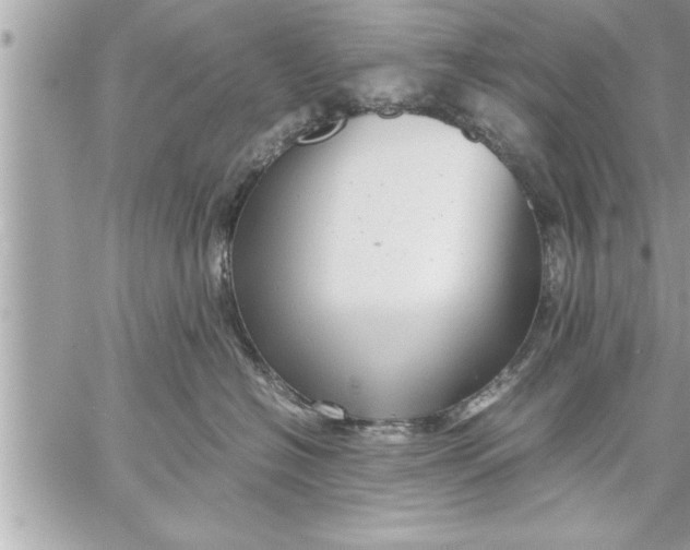 X0000059850574200511111814