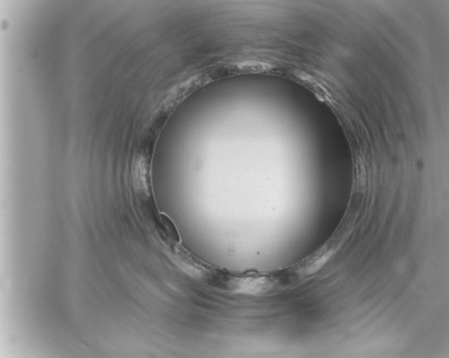 X0000059850575200511111814