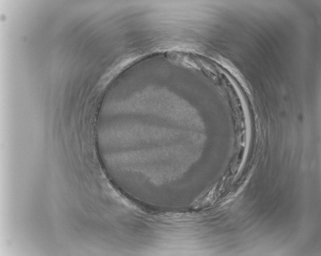 X0000059850577200511111813