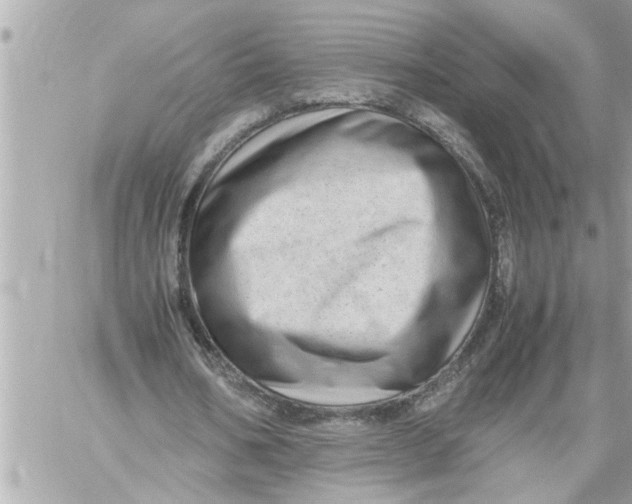 X0000059850578200511111813