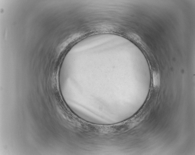 X0000059850579200511111813