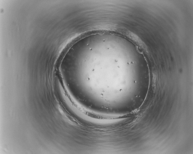 X0000059850580200511111813