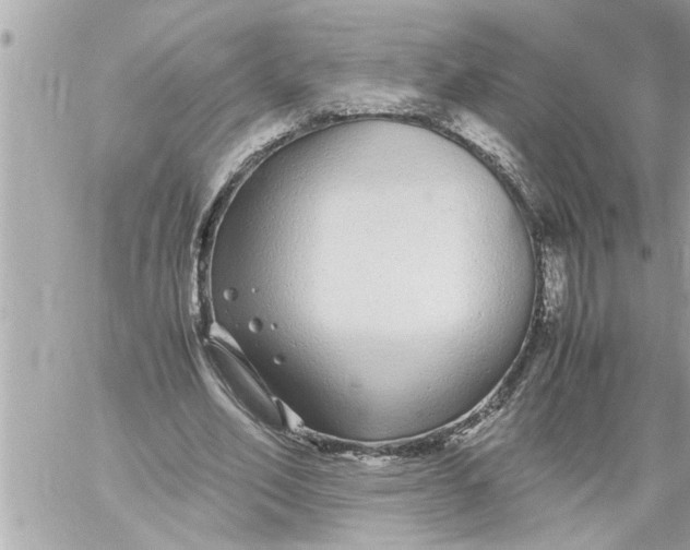 X0000059850582200511111813