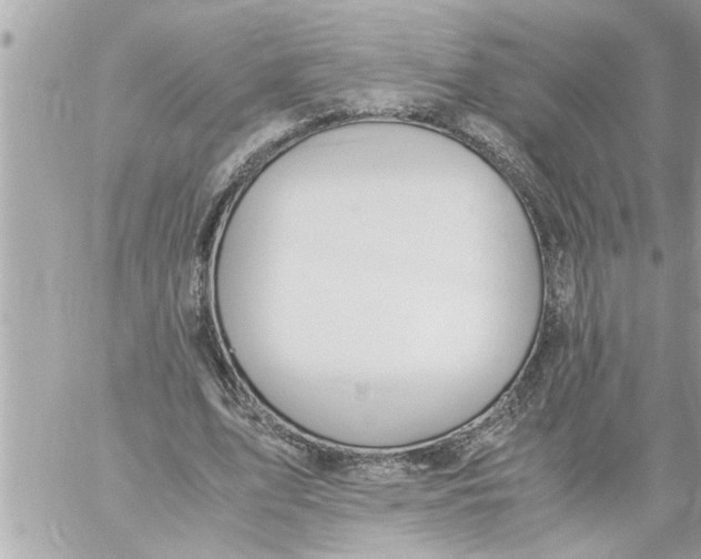 X0000059850583200511111813