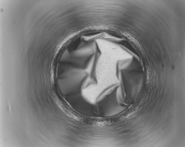 X0000059850584200511111813