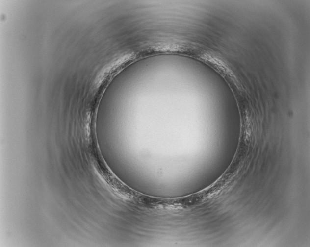 X0000059850586200511111813