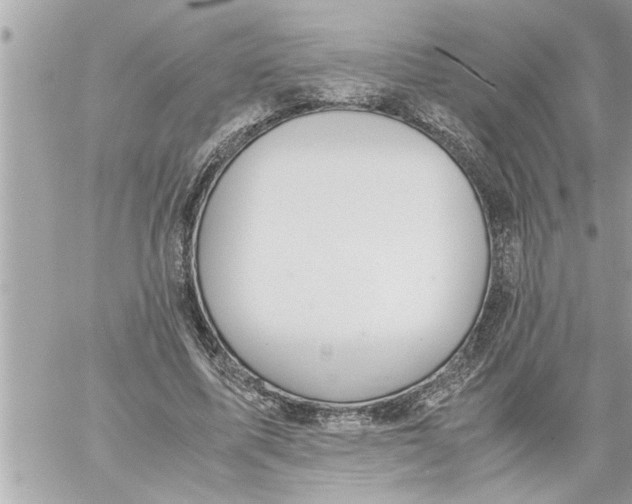 X0000059850587200511111813