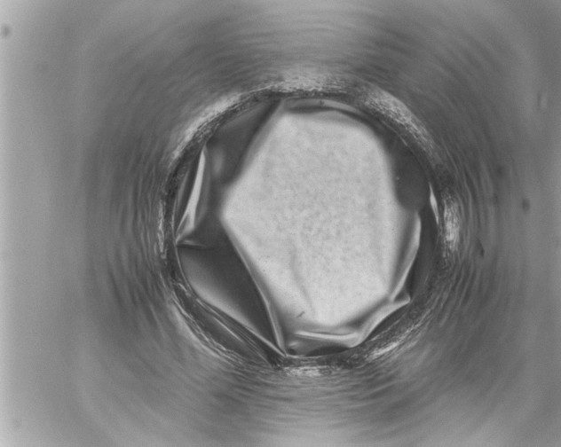 X0000059850588200511111813