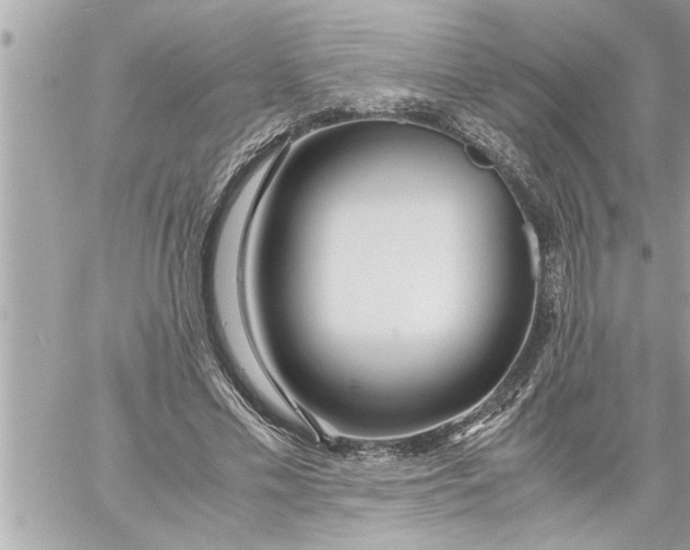 X0000059850589200511111813