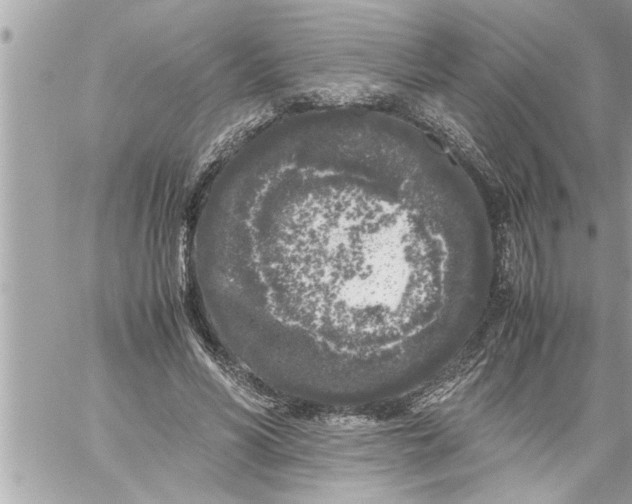 X0000059850590200511111813