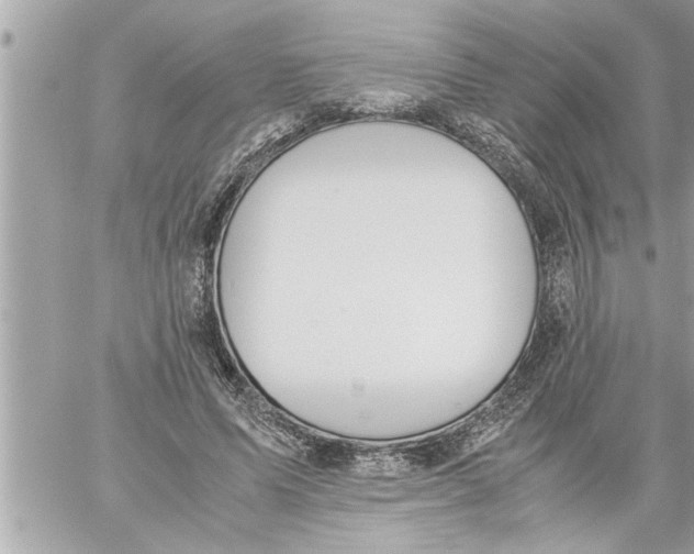 X0000059850591200511111813