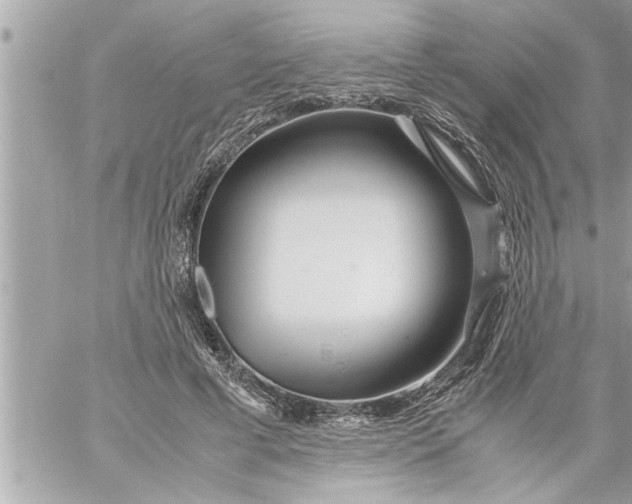 X0000059850593200511111813