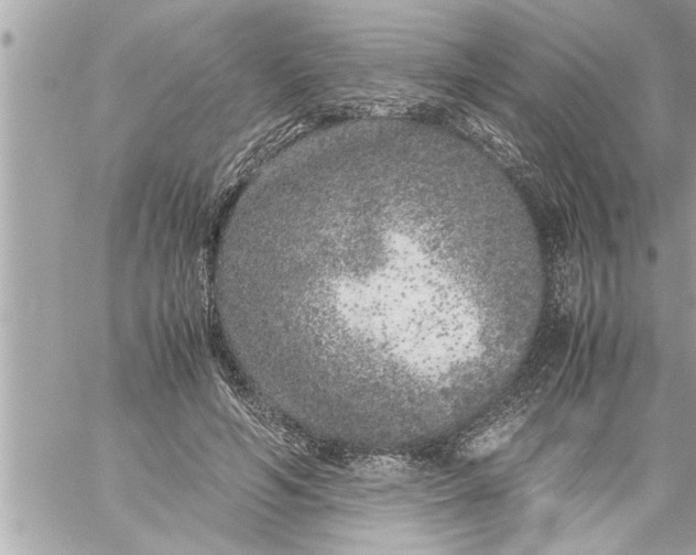 X0000059850594200511111813