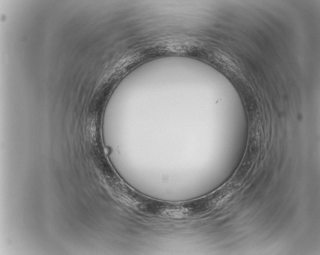 X0000059850595200511111813