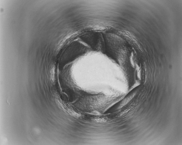 X0000059850596200511111813