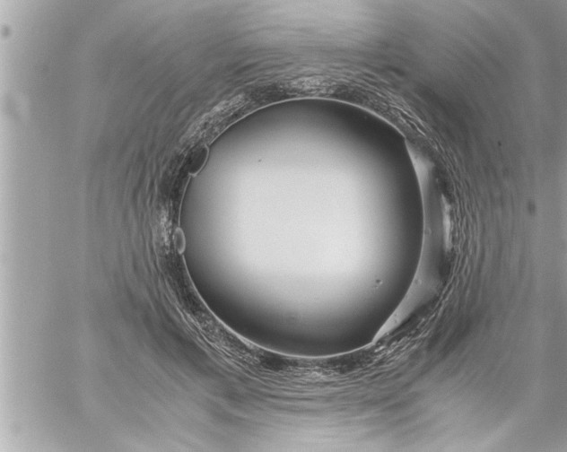 X0000059850597200511111813