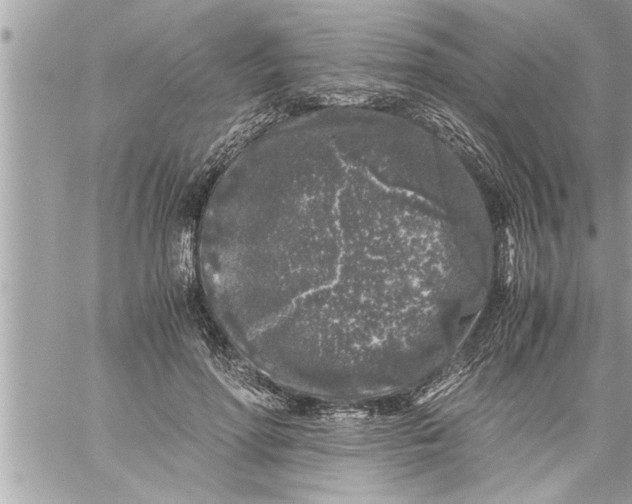 X0000059850598200511111813