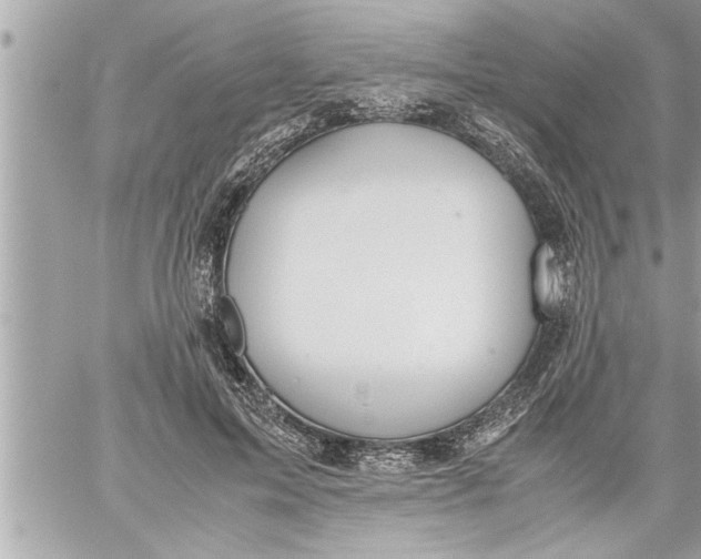 X0000059850599200511111813