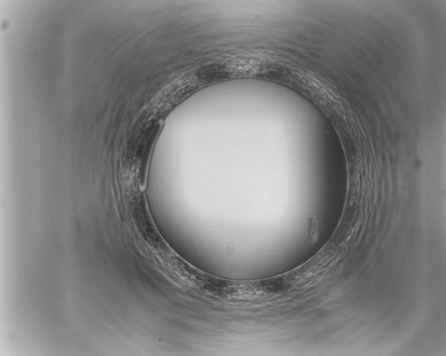 X0000059850601200511111813