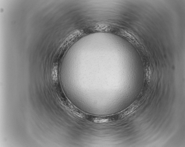 X0000059850602200511111813