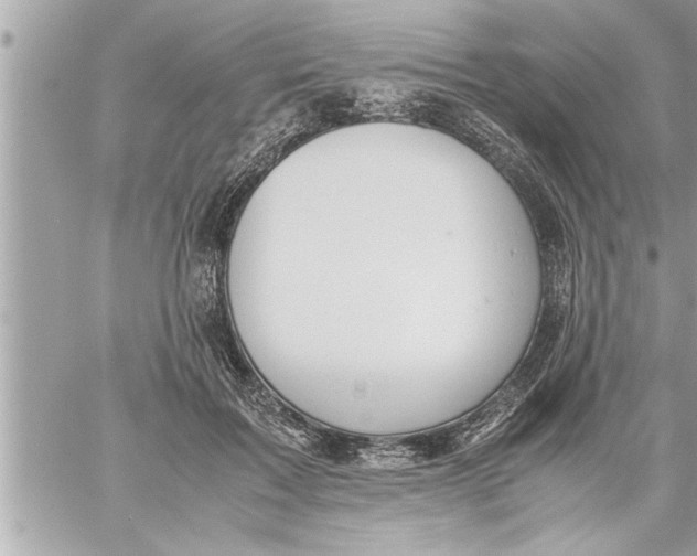 X0000059850603200511111813